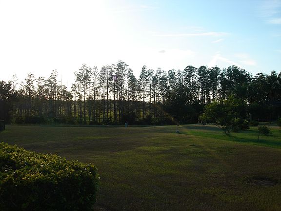 View from the back porch