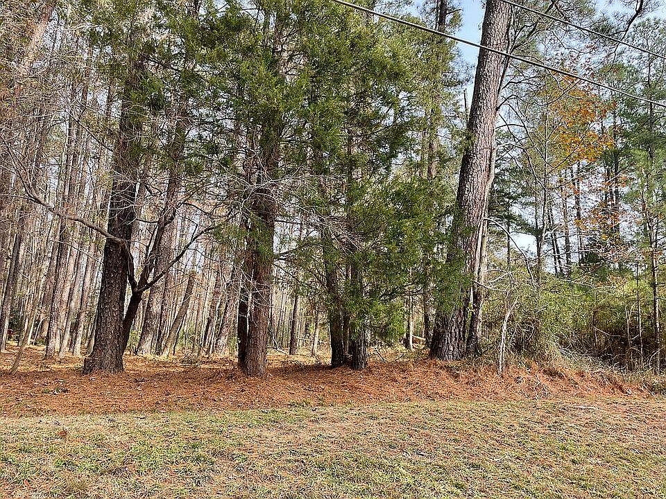 ~ 100 feet of road frontage!