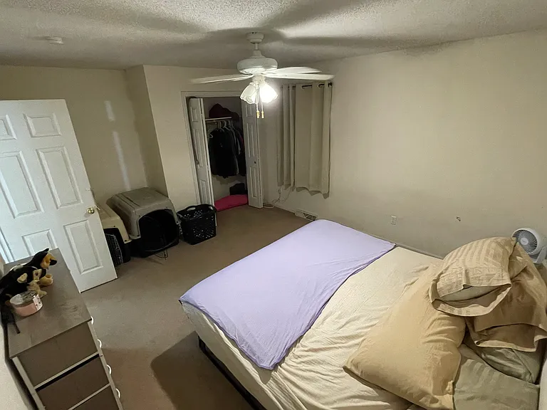 1317 Valley Creek Ln — Photo 4