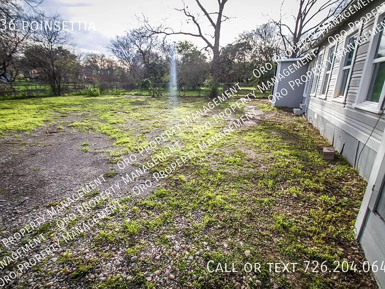 936 Poinsettia — Photo 30