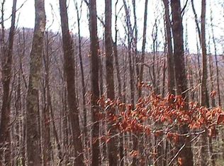 211 Poplar Dr, Banner Elk, NC 28604