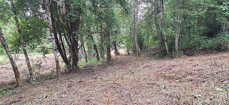 5th image of 165 Beauvias Road