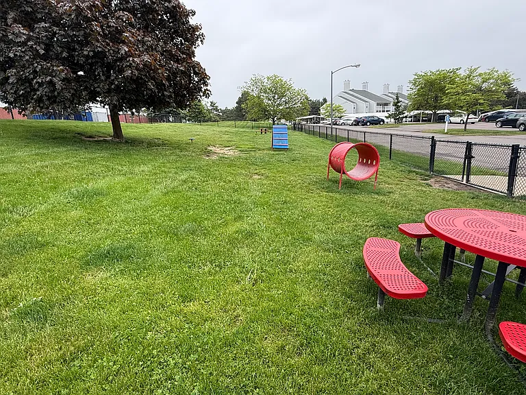 Dog park