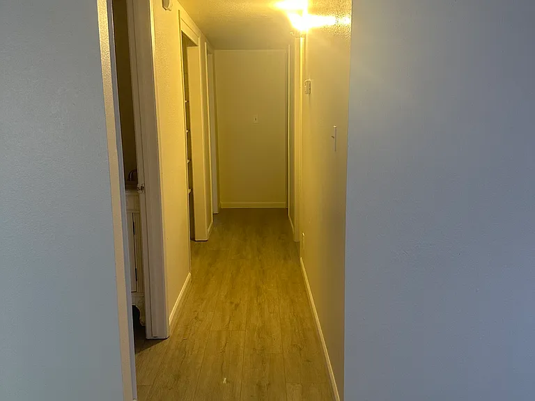 Don Ave — Photo 10
