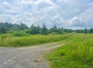 579 Lick St, Locke, NY 13092