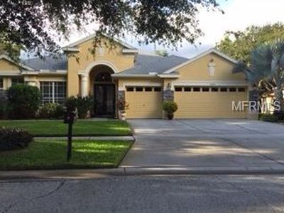 15224 Merlinglen Pl, Lithia, FL, 33547