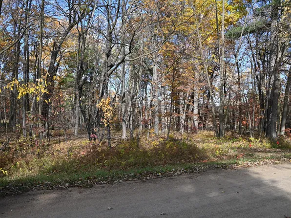 40889 Penelope Loop, Browerville, MN 56438