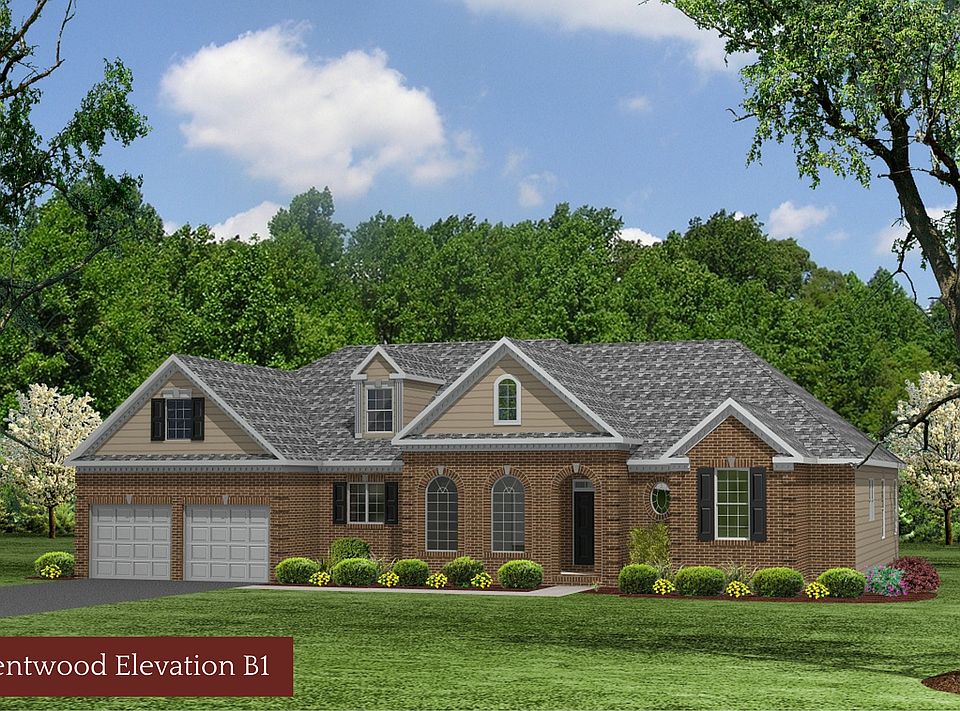 Elevation Elevation B1