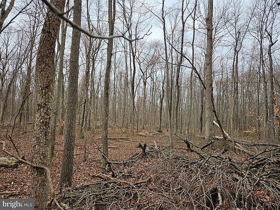 4th image of Bradford Johnson Rd