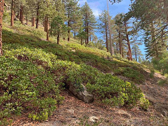 4th image of 190 Grindelwald Rd