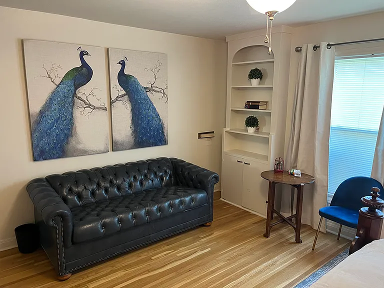 1166 Albany St — Photo 36