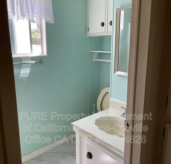 533 Silver Leaf Dr — Photo 17