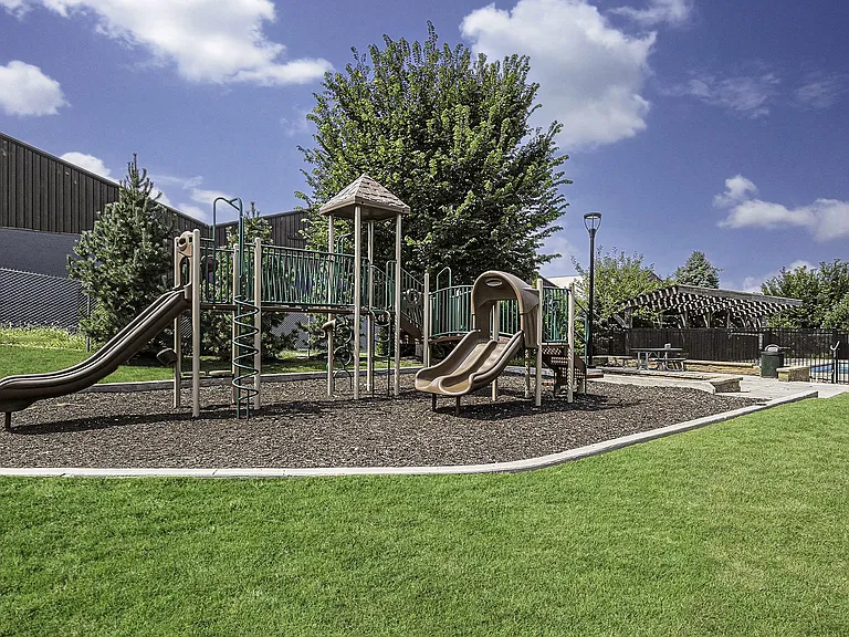 Pine Tree Apartments — Photo 4