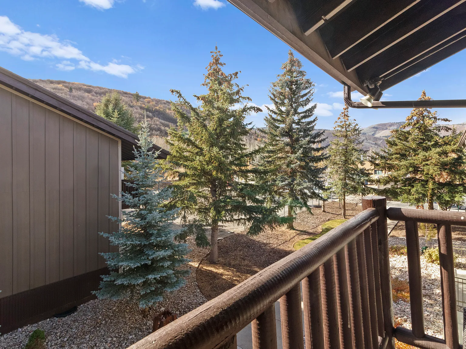 Studio, 354 sqft, $1,500 — Photo 4