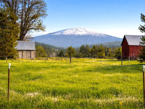 46XX Bittrich Antler Rd, Deer Park, WA 99006