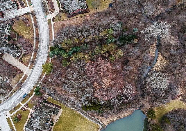 1st image of W Old Oak Ln