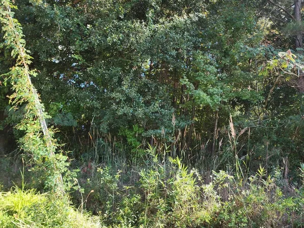 Lot 3 & 4 Hayes West St LOT 3 & 4, Burgaw, NC 28425