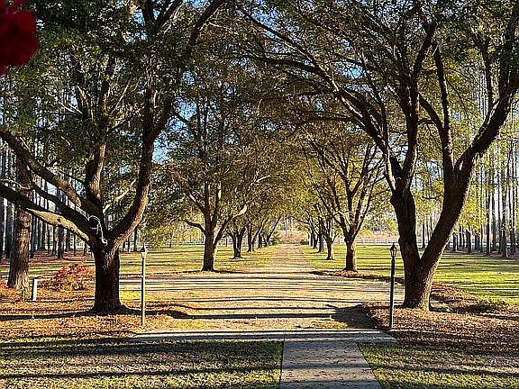View of driveway from front door