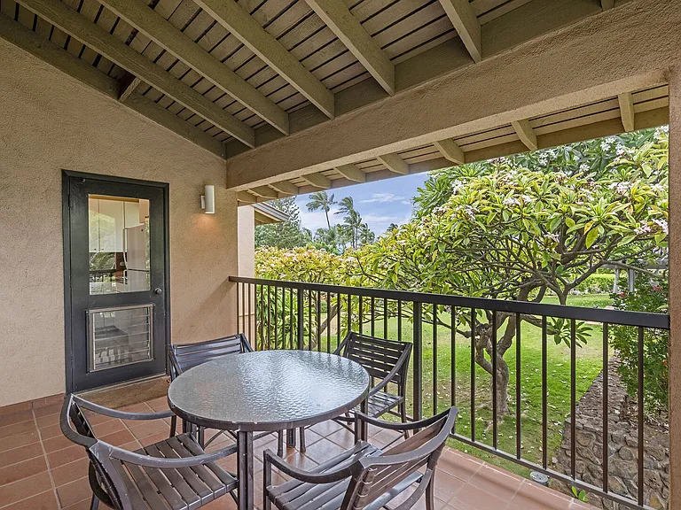 Wailea Alanui Dr — Photo 10