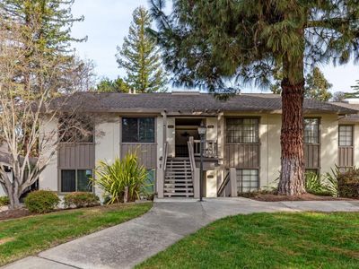 5293 Cribari Hts, San Jose, CA, 95135