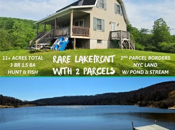 81 Lake Shore Dr, South Kortright, NY 13842