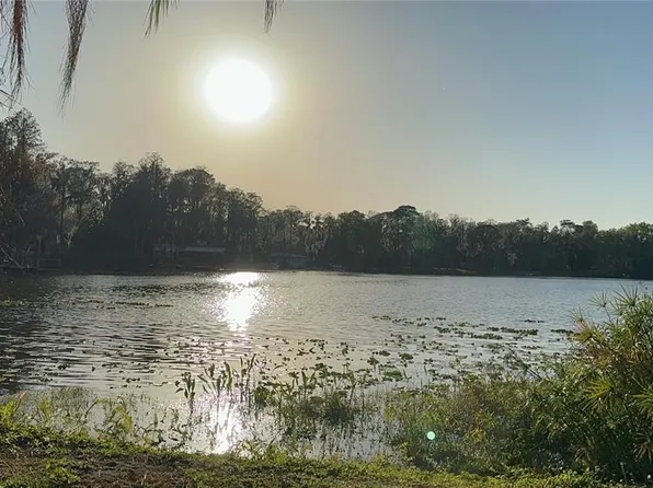 1653 Rowland Dr, Odessa, FL 33556