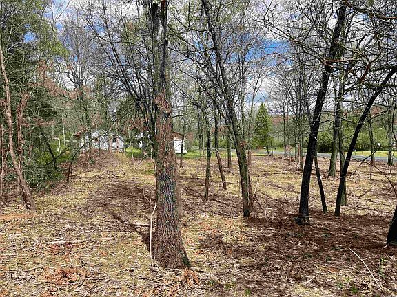 5th image of 308 Diamond Ln