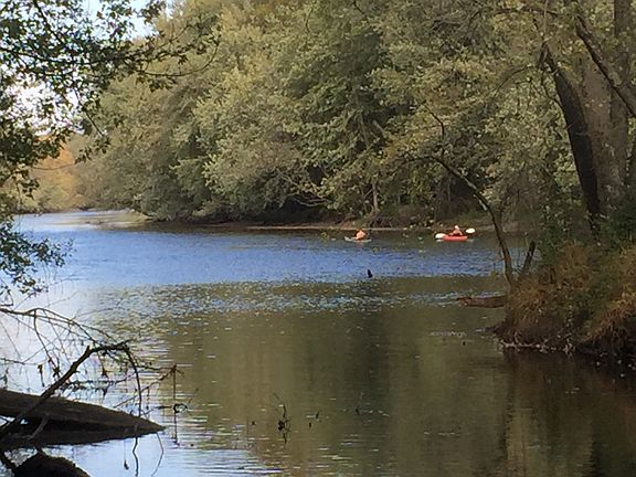 Kayak from your shoreline 