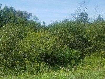 V/l S Marlene St Lot 16, Rothbury, MI, 49452