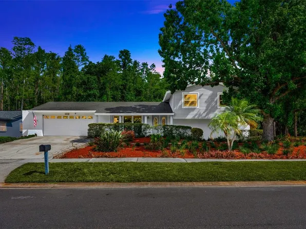 4012 Woodacre Ln, Tampa, FL 33624