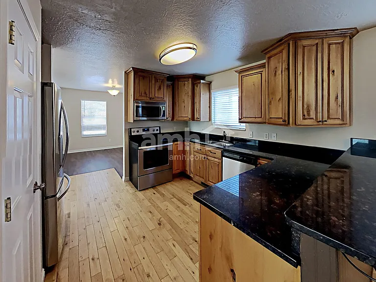 2907 E Ruby Valley Dr — Photo 4