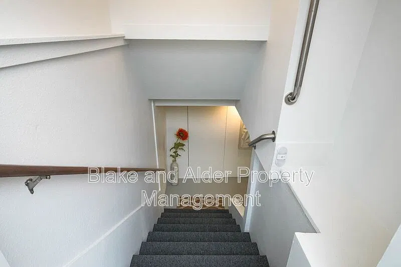 Studio, 1.0 bath, 800 sqft, $1,300 — Photo 2