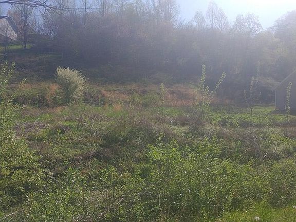 5th image of 12 Turkey Hollow Ln #12