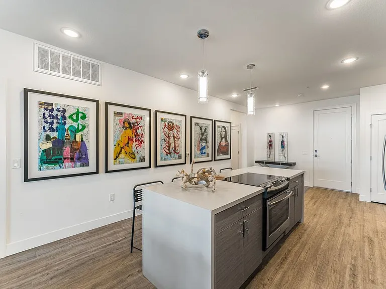 Downing Street Lofts — Photo 10