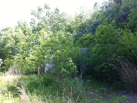 2nd image of 37 White Pine Ln