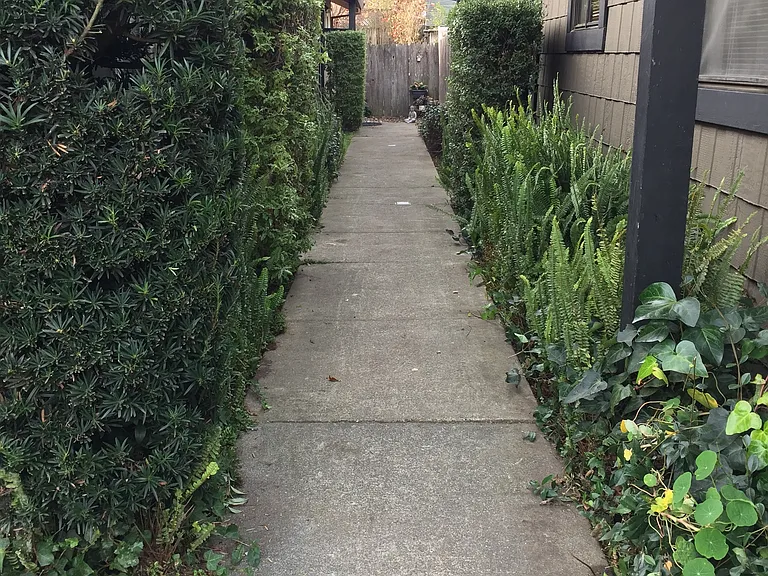 8th St — Photo 3
