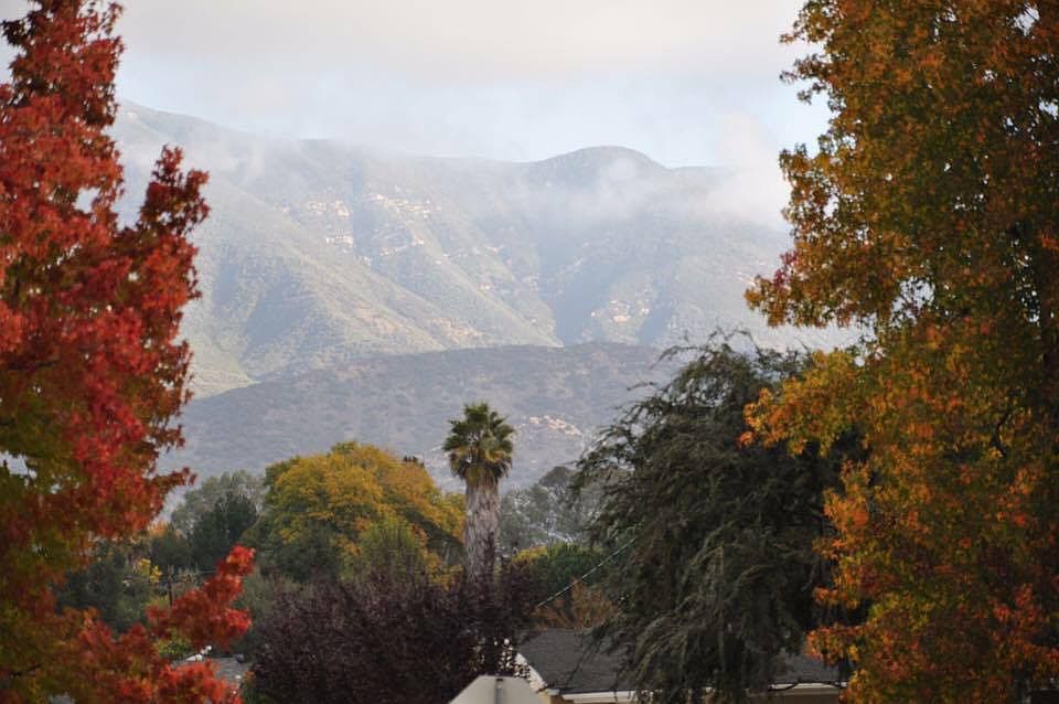 1st image of 501 Vallerio Ave