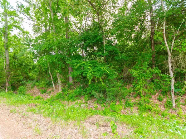 Vz County Road 4810, Ben Wheeler, TX 75754