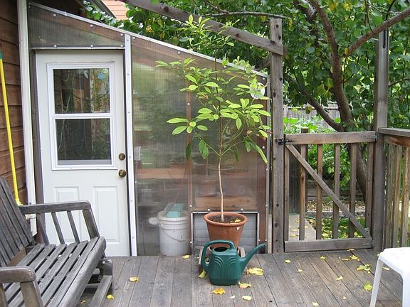 Greenhouse