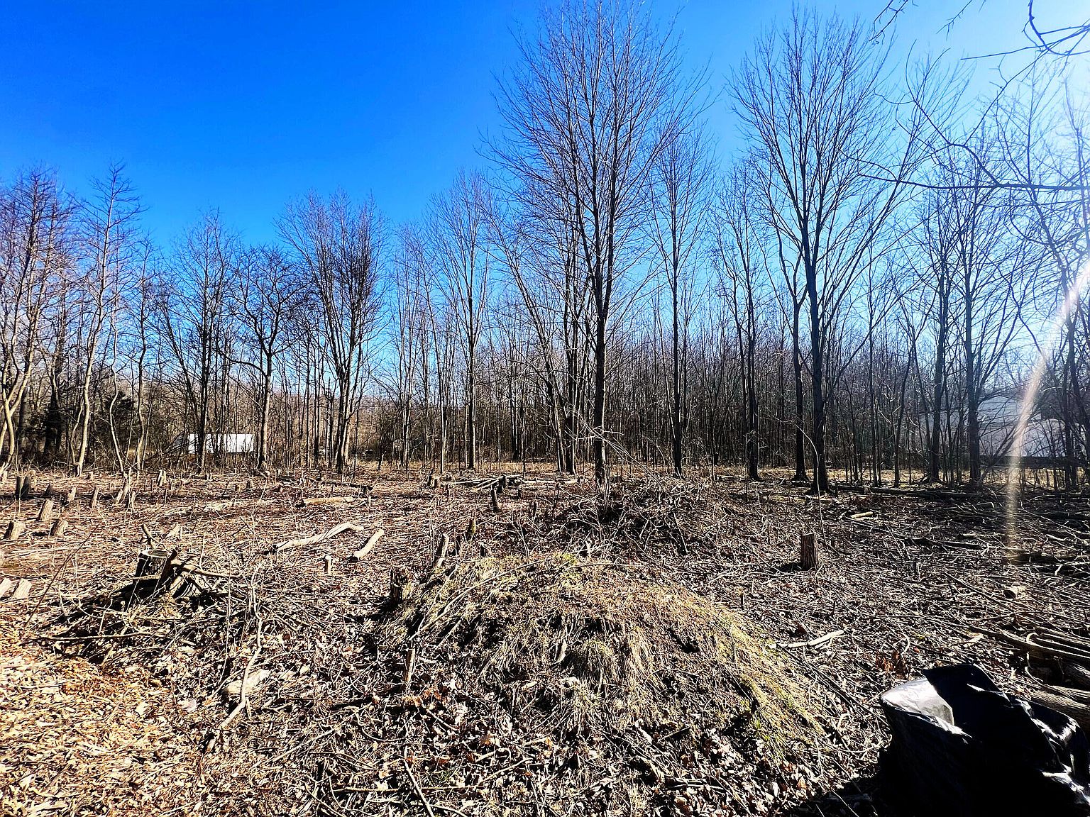 16715 Williamsville St, Vandalia, MI 49095 Zillow