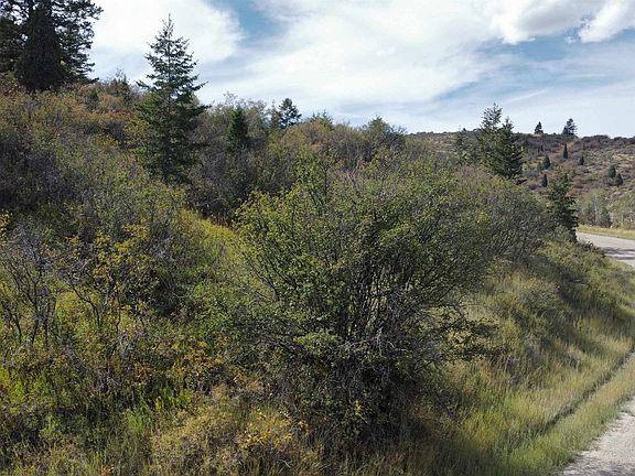 2nd image of 155 Caribou Rd