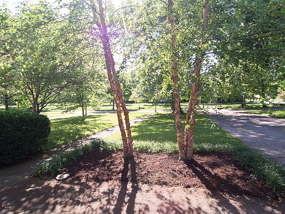 View from front porch!!!!!