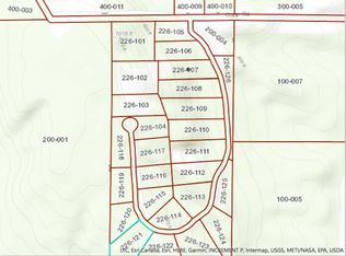 5287 Burt Lake Views Dr, Alanson, MI 49706