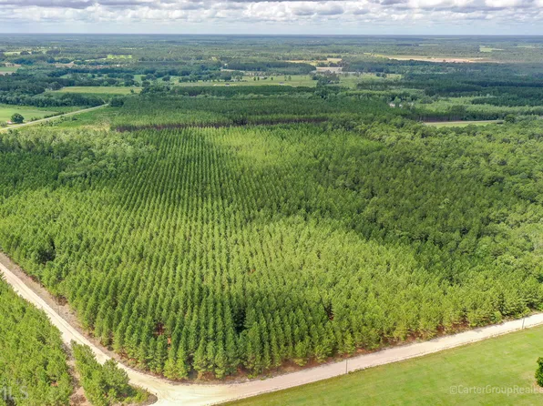 0 Pretty Ford Rd, Baxley, GA 31513