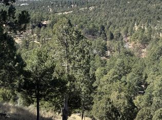 113 Holly Dr, Alto, NM