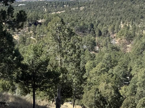 113 Holly Dr, Alto, NM 88312