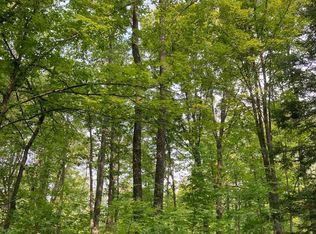 On Cedar Falls Rd #4089-A, Tomahawk, WI 54487