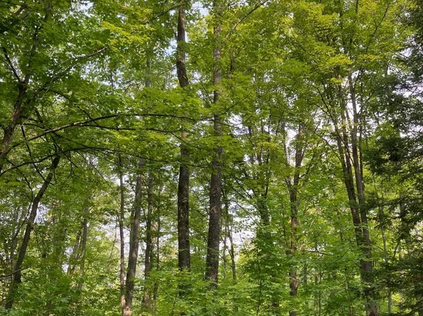 On Hwy Tract 52-8251, Antigo, WI 54409