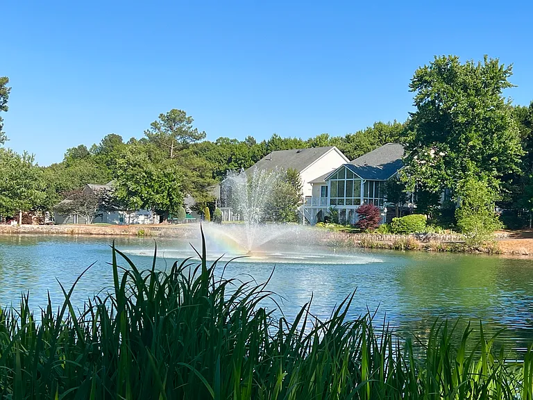 416 Sawgrass Hill Ct — Photo 3