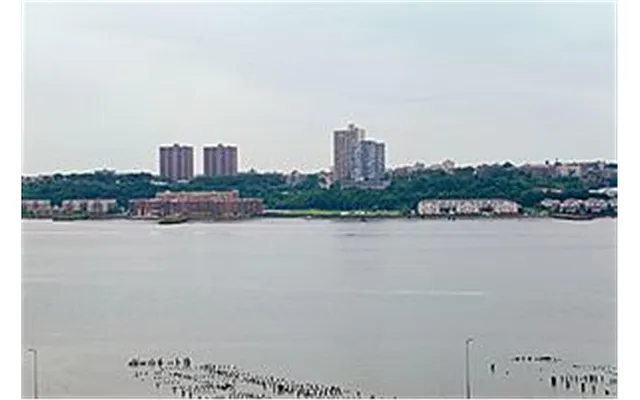 Sold by Douglas Elliman | media 10